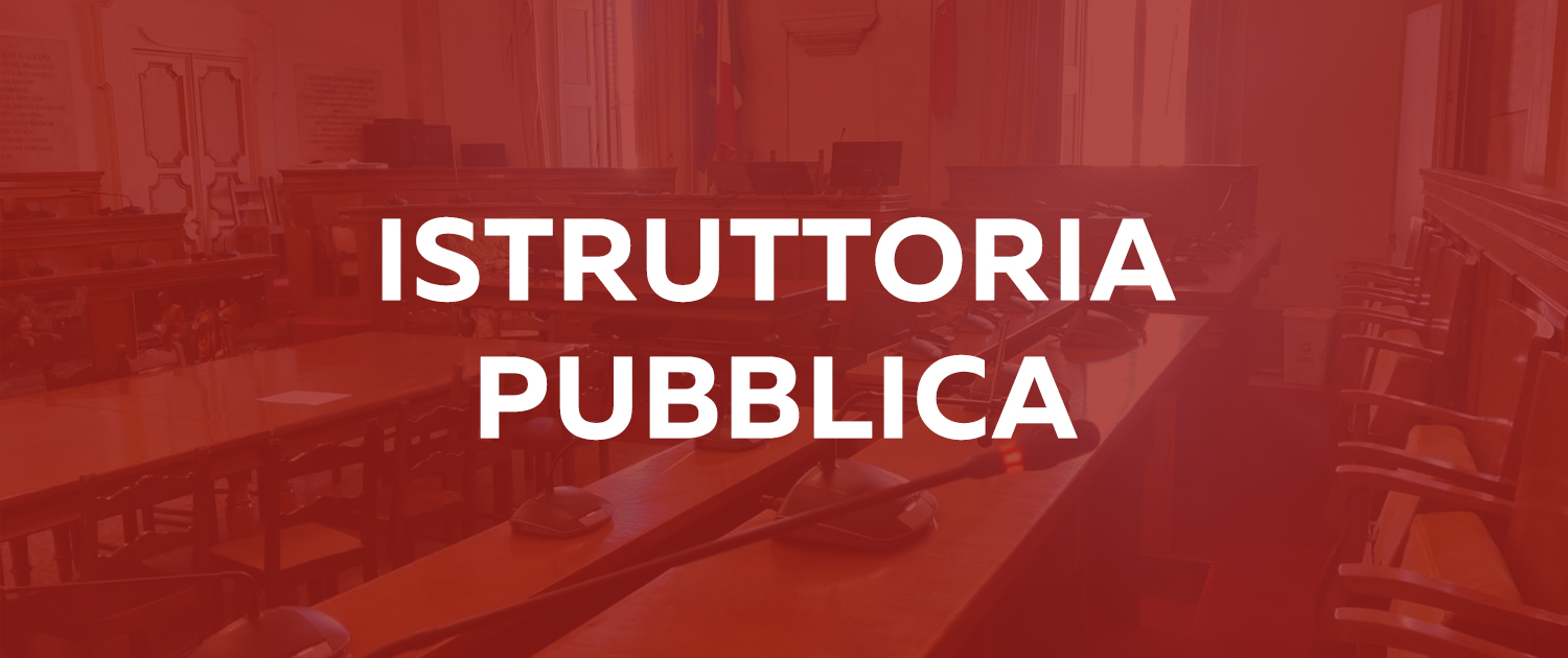 Istruttoria pubblica